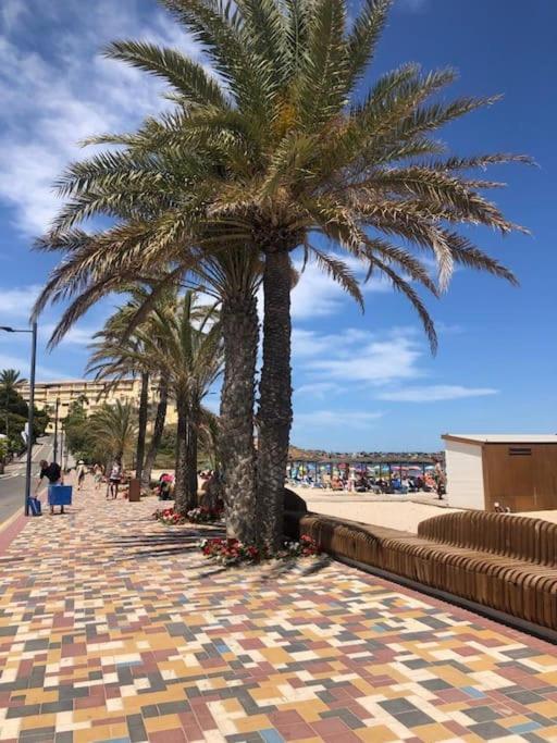 Ferienwohnung Casa Andres. Two Bed Penthouse Pool & Terrace Alicante Exterior foto